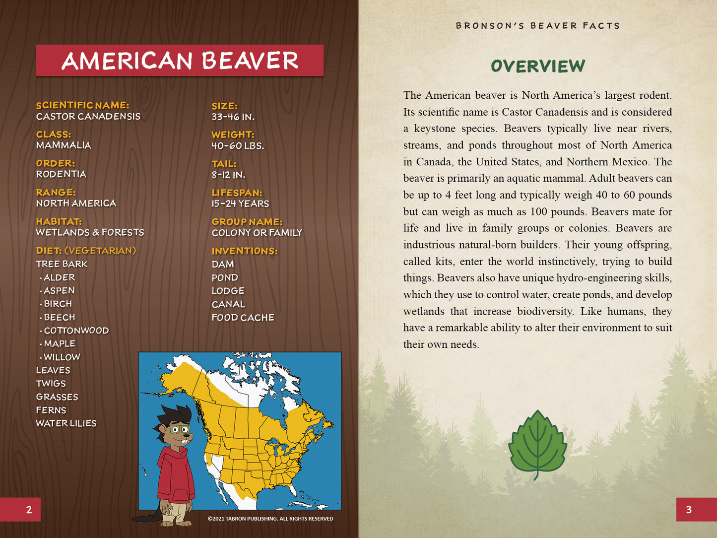 Bronson's Beaver Facts: A Fun and Educational Companion to Bronson Beaver Builds a Robot