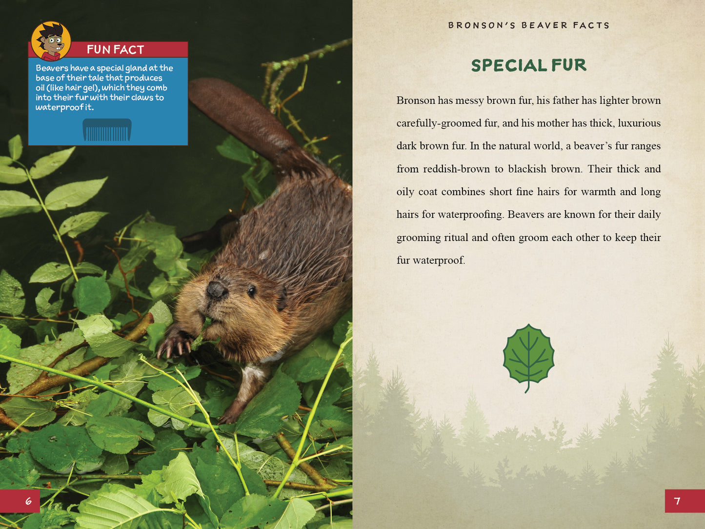 Bronson's Beaver Facts: A Fun and Educational Companion to Bronson Beaver Builds a Robot