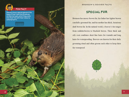 Bronson's Beaver Facts: A Fun and Educational Companion to Bronson Beaver Builds a Robot