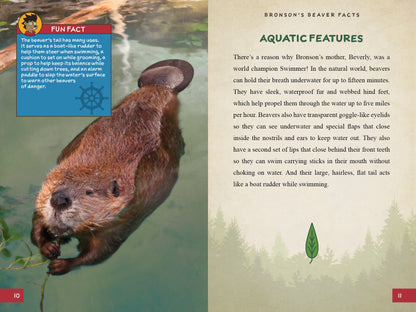 Bronson's Beaver Facts: A Fun and Educational Companion to Bronson Beaver Builds a Robot